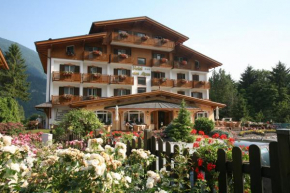 Hotel des Alpes Molveno